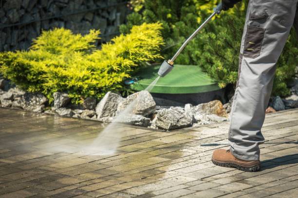 Best Fence Cleaning  in Houston, MO